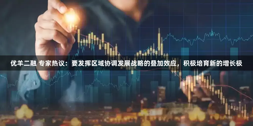 优羊二融 专家热议：要发挥区域协调发展战略的叠加效应，积极培育新的增长极